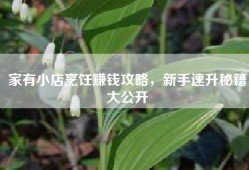 家有小店烹饪赚钱攻略，新手速升秘籍大公开
