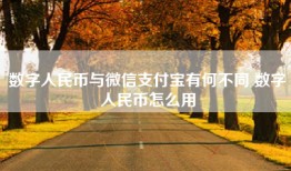数字人民币与微信支付宝有何不同 数字人民币怎么用