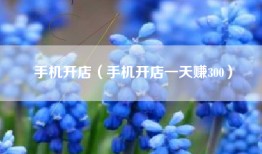 手机开店（手机开店一天赚300）