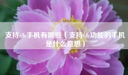支持nfc手机有哪些（支持nfc功能的手机是什么意思）