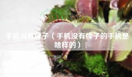 手机没有牌子（手机没有牌子的手机是啥样的）