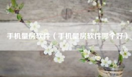 手机量房软件（手机量房软件哪个好）