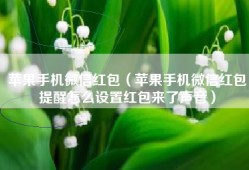 苹果手机微信红包（苹果手机微信红包提醒怎么设置红包来了声音）