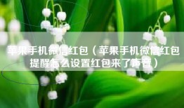 苹果手机微信红包（苹果手机微信红包提醒怎么设置红包来了声音）