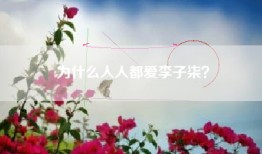 为什么人人都爱李子柒？