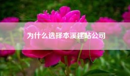 为什么选择本溪建站公司