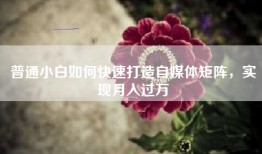 普通小白如何快速打造自媒体矩阵，实现月入过万