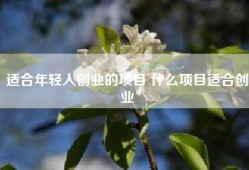 适合年轻人创业的项目 什么项目适合创业
