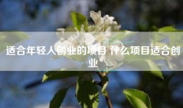 适合年轻人创业的项目 什么项目适合创业