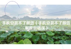 手机安装不了微信（手机安装不了微信解析包错误）