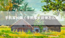 手机家长版（手机家长管理怎么弄）