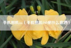 手机相机iso（手机相机ISO是什么意思）
