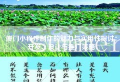 厦门小程序制作的魅力与实用性探讨：开发、设计与推广策略