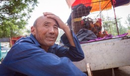 独家6元一个，鹅蛋价格这么高，农村养鹅的却不多，为什么？
