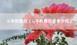 5G手机售价（5g手机售价是多少钱）