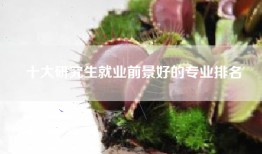 十大研究生就业前景好的专业排名