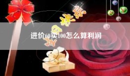 进价60卖100怎么算利润