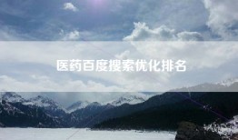 医药百度搜索优化排名