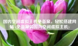 国内空间虚拟主机免备案，轻松搭建网站 (免备案的国内空间虚拟主机)
