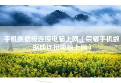 手机数据线连接电脑上网（荣耀手机数据线连接电脑上网）