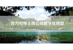 合力引导上市公司数字化转型