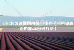 手机怎么设置路由器wifi密码（手机设置路由器wifi密码方法）