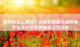 违拍拍怎么赚钱？违章拍照曝光规则操作玩法介绍及收益最详尽攻略