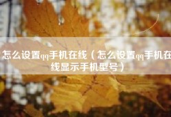 怎么设置qq手机在线（怎么设置qq手机在线显示手机型号）