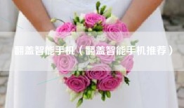 翻盖智能手机（翻盖智能手机推荐）