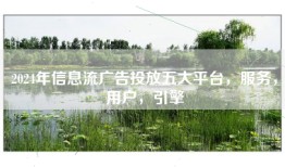 2024年信息流广告投放五大平台，服务，用户，引擎