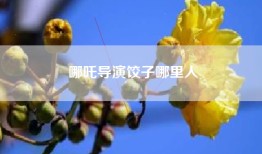 哪吒导演饺子哪里人