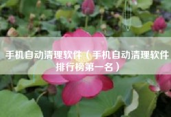 手机自动清理软件（手机自动清理软件排行榜第一名）