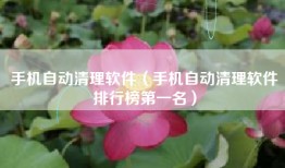 手机自动清理软件（手机自动清理软件排行榜第一名）