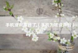 手机没有声音了（手机为啥没声音）
