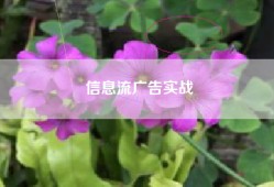 信息流广告实战
