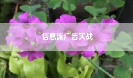 信息流广告实战