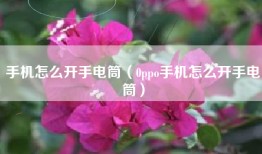 手机怎么开手电筒（0ppo手机怎么开手电筒）