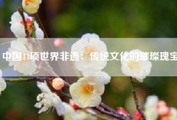 中国44项世界非遗：传统文化的璀璨瑰宝