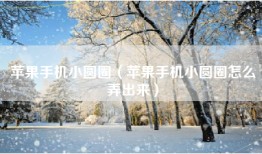 苹果手机小圆圈（苹果手机小圆圈怎么弄出来）