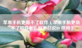 苹果手机更新不了软件（苹果手机更新不了软件怎么回事总说ID 停用）