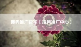 搜狗推广管家【搜狗推广中心】