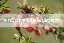 国有企业数字化转型与产业链现代化
