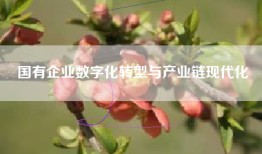 国有企业数字化转型与产业链现代化