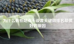 为什么有些站点不设置关键词排名却很好的原因