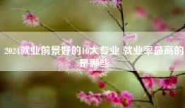 2024就业前景好的10大专业 就业率最高的是哪些