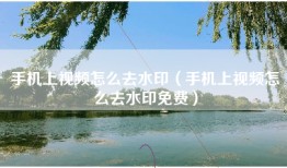 手机上视频怎么去水印（手机上视频怎么去水印免费）