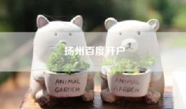 扬州百度开户