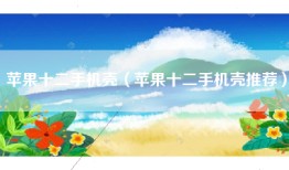 苹果十二手机壳（苹果十二手机壳推荐）