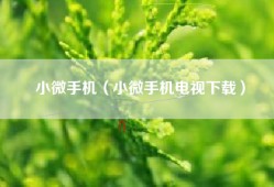 小微手机（小微手机电视下载）