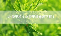 小微手机（小微手机电视下载）